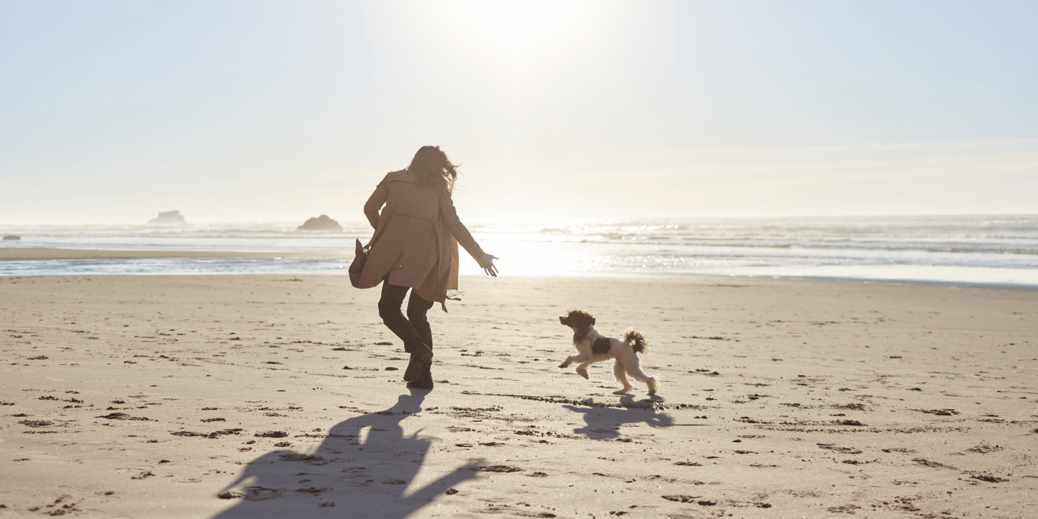 Woman With Dog Running On The Beach